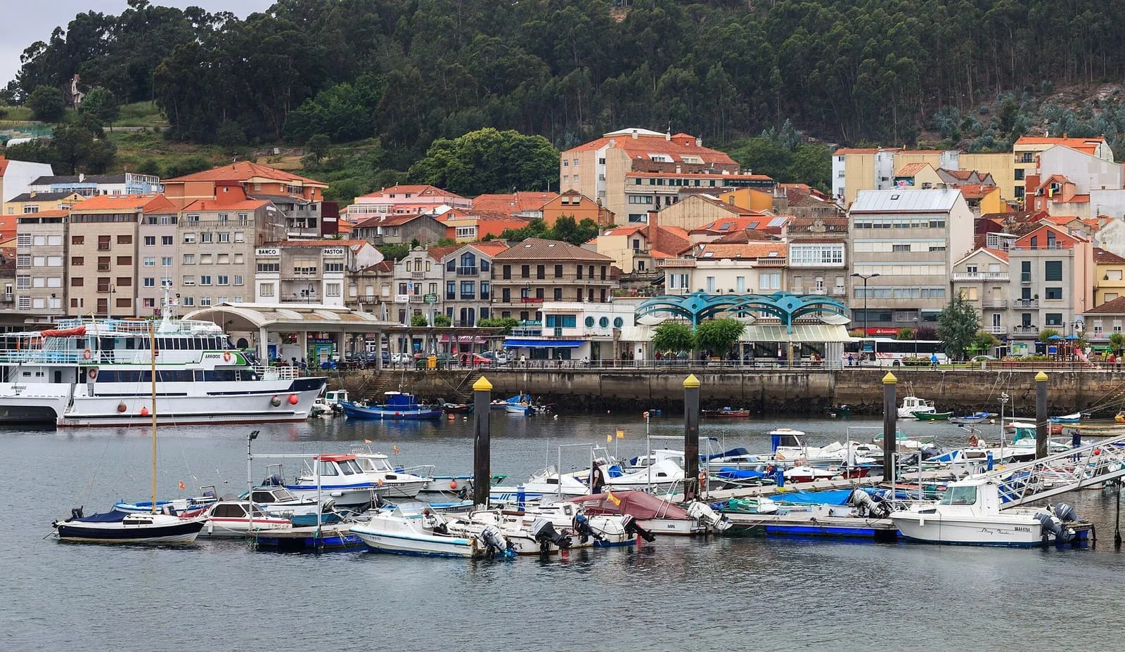 Puerto de Cangas con las barcas amarradas y las casas de la villa al pie de los montes