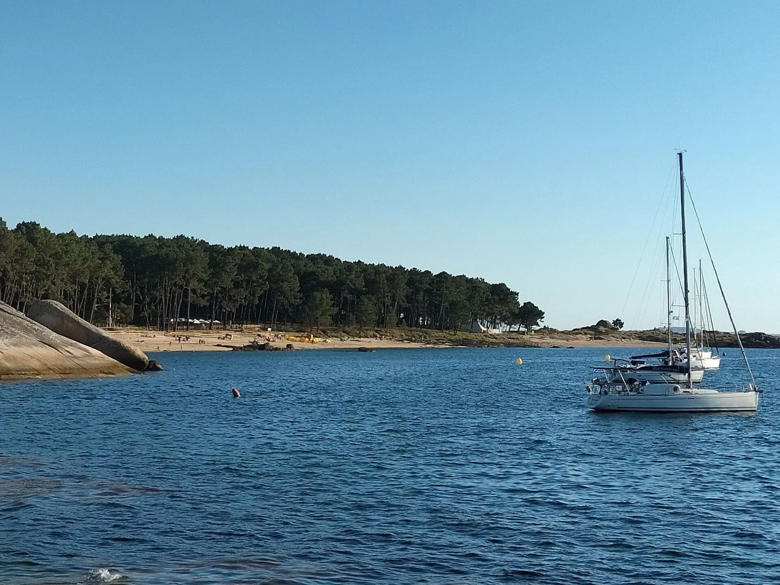 Cala de aguas claras con un pinar y un velero fondeado frente a Area da Secada