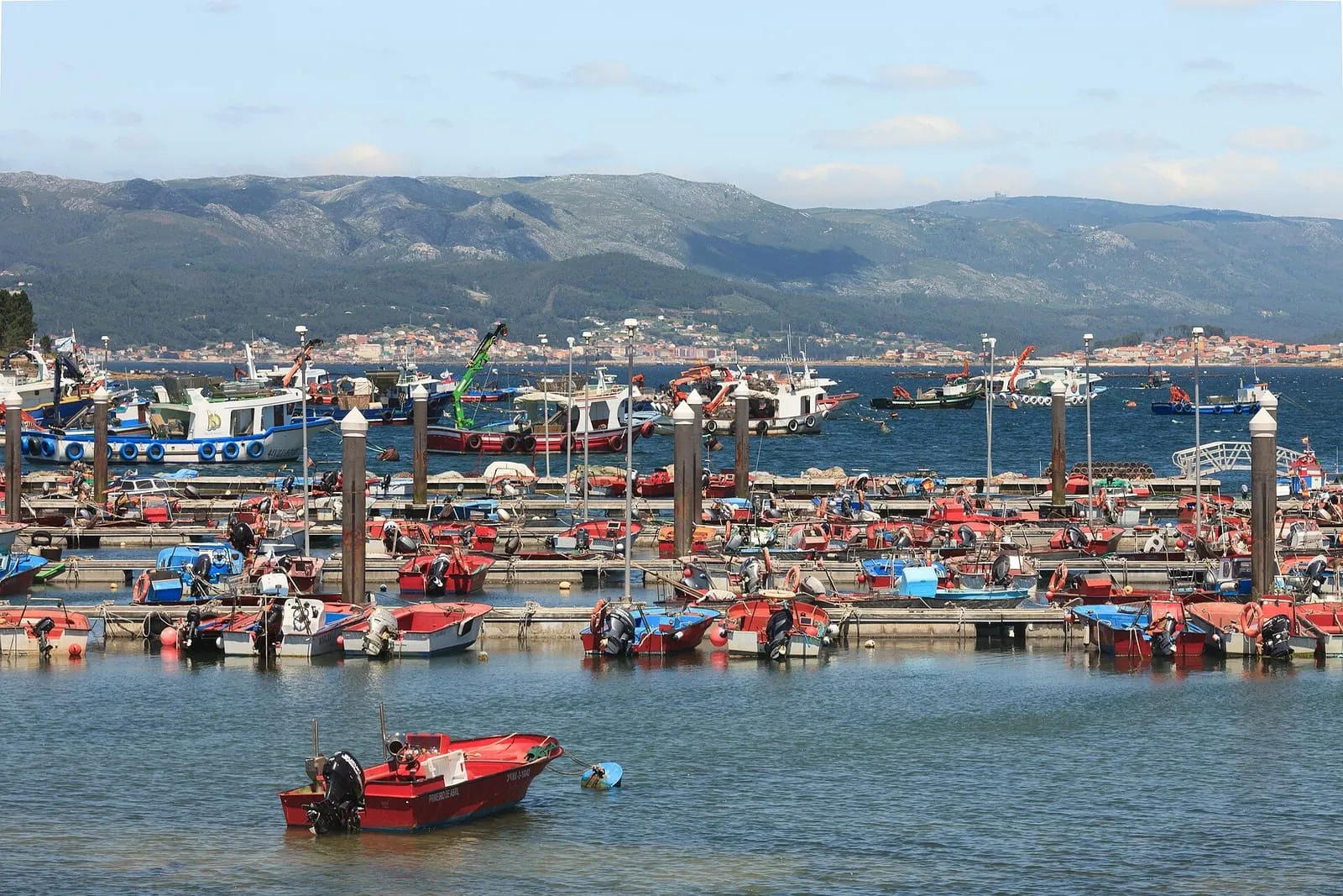 El puerto de A Illa de Arousa lleno de barcos de colores, con la ría y los montes del continente al fondo