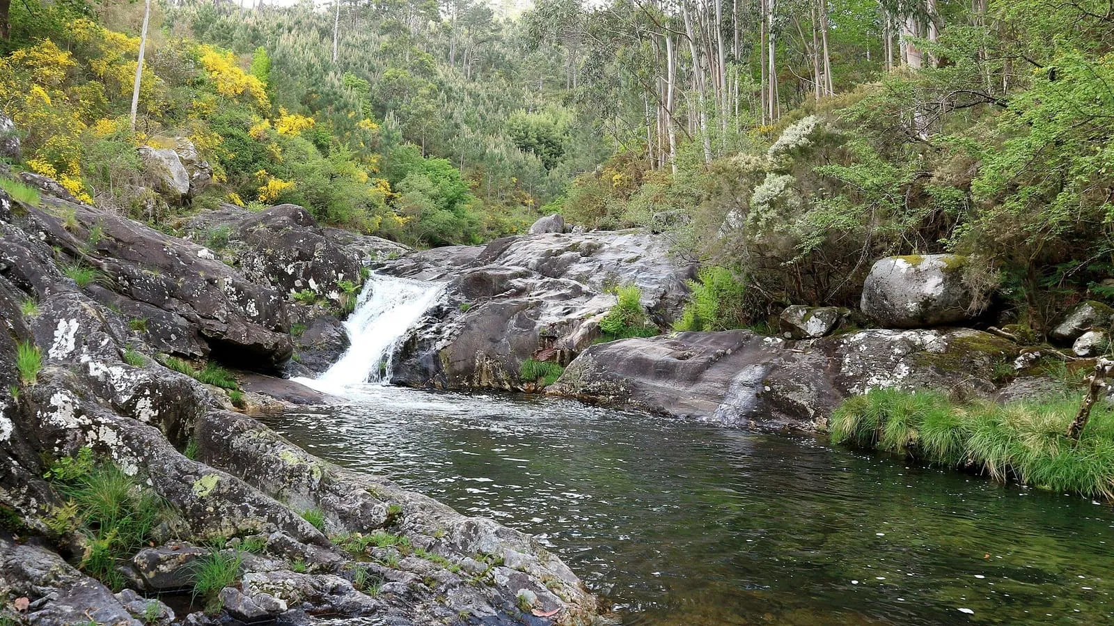 Pequeña cascada que cae a una poza entre rocas y vegetación en el río Pedras
