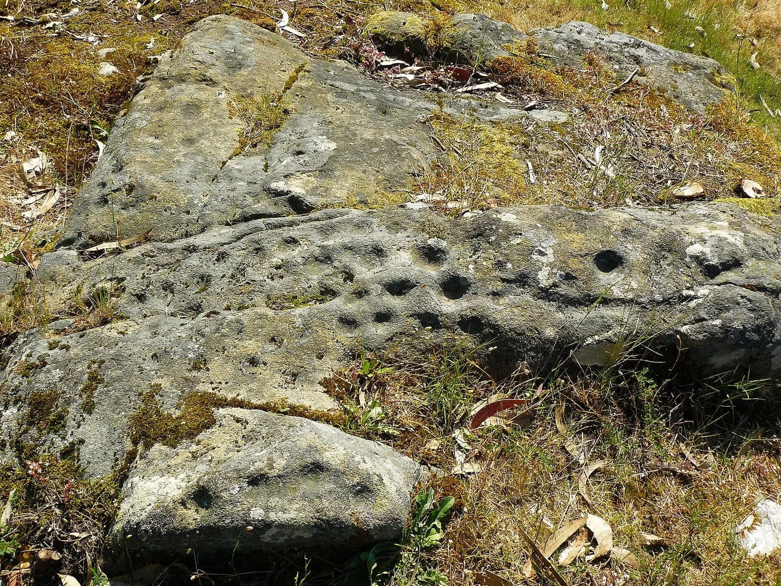 Roca de granito con pequeñas cazoletas grabadas en los petroglifos de Bealo, entre hierba seca