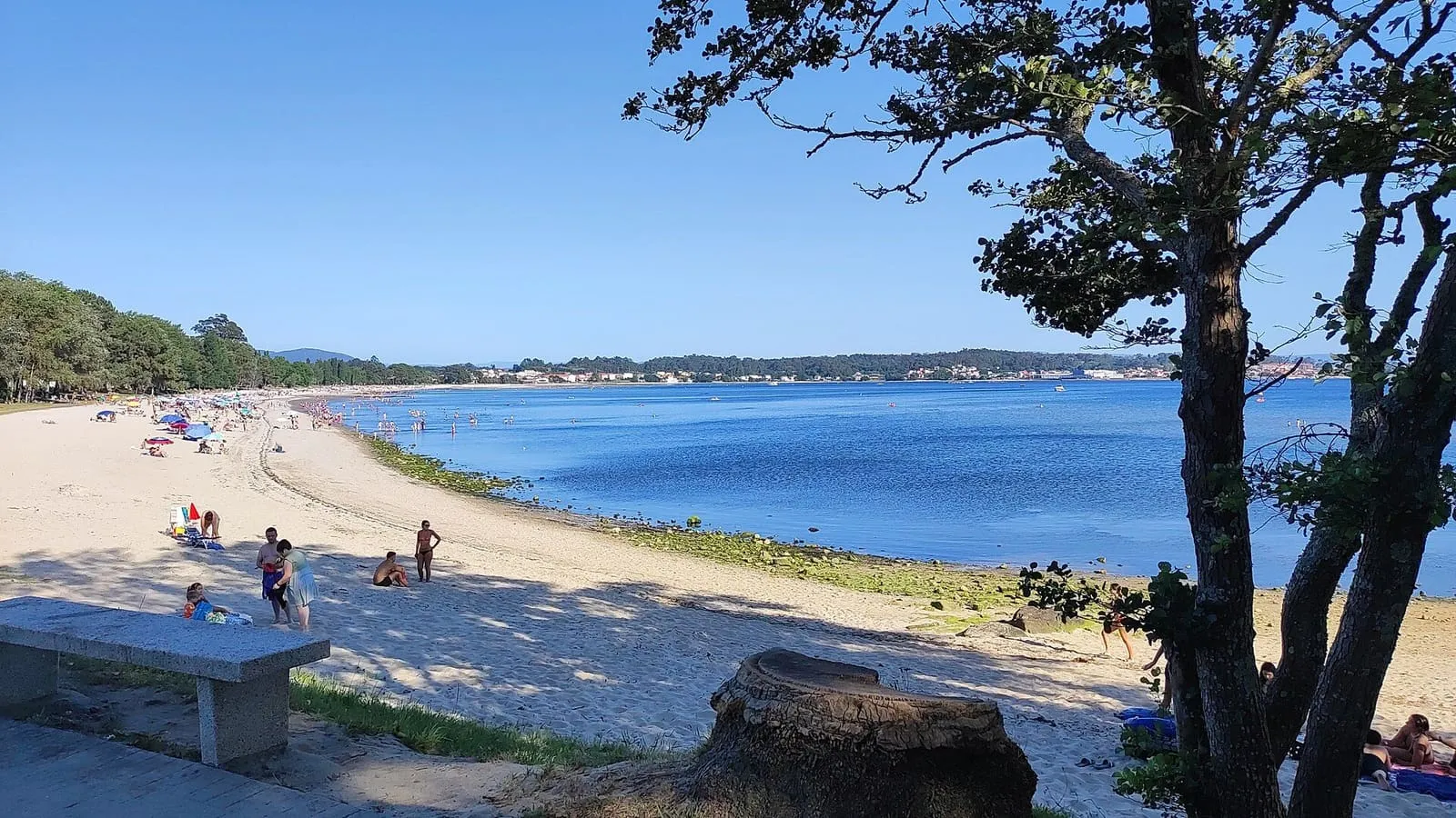 Playa de Barraña con árboles en primer plano y la ría al fondo