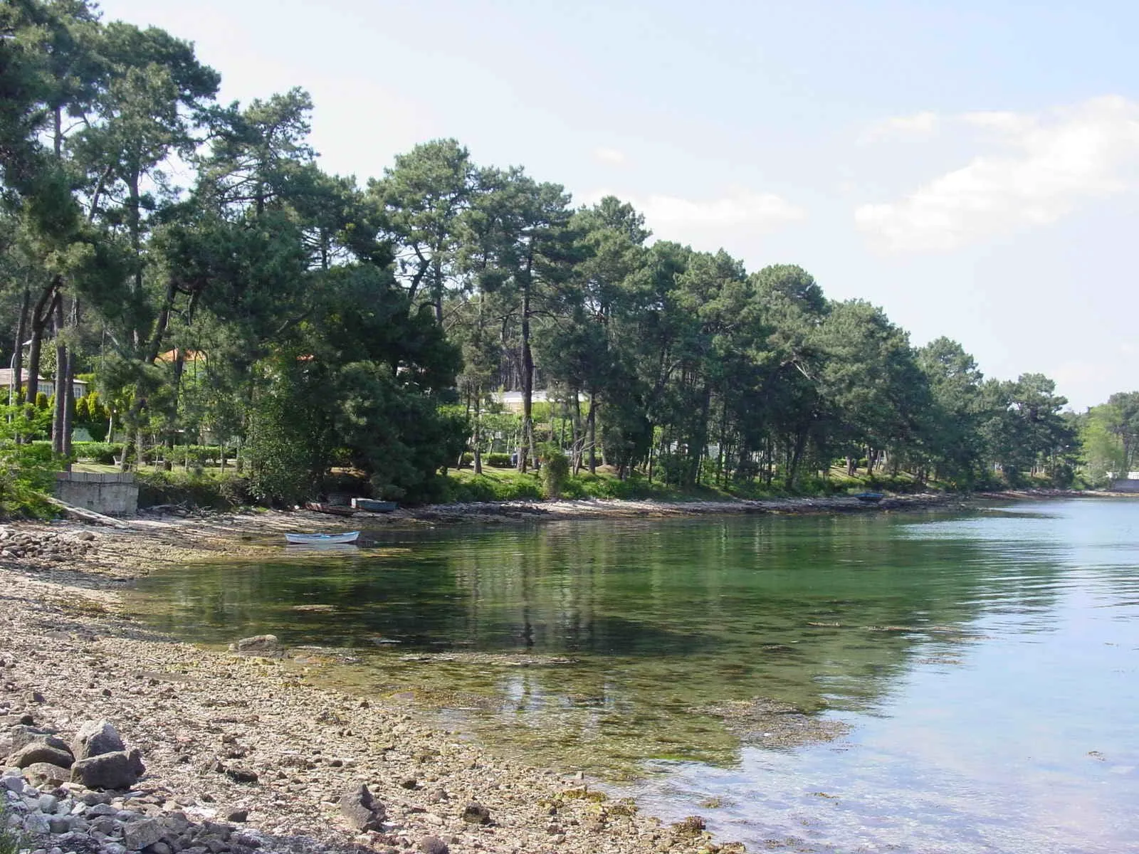 Cala tranquila rodeada de pinos en la isla de A Toxa