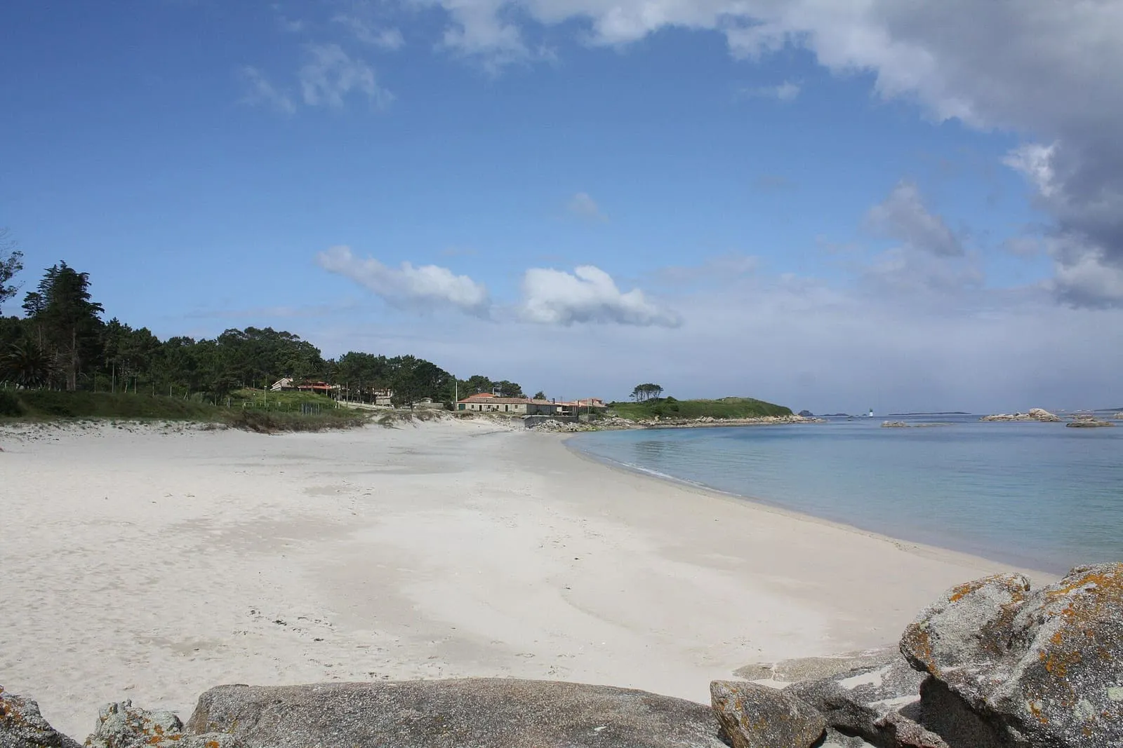 Arena blanca y aguas tranquilas en la playa de O Carreiro, con pinos al fondo