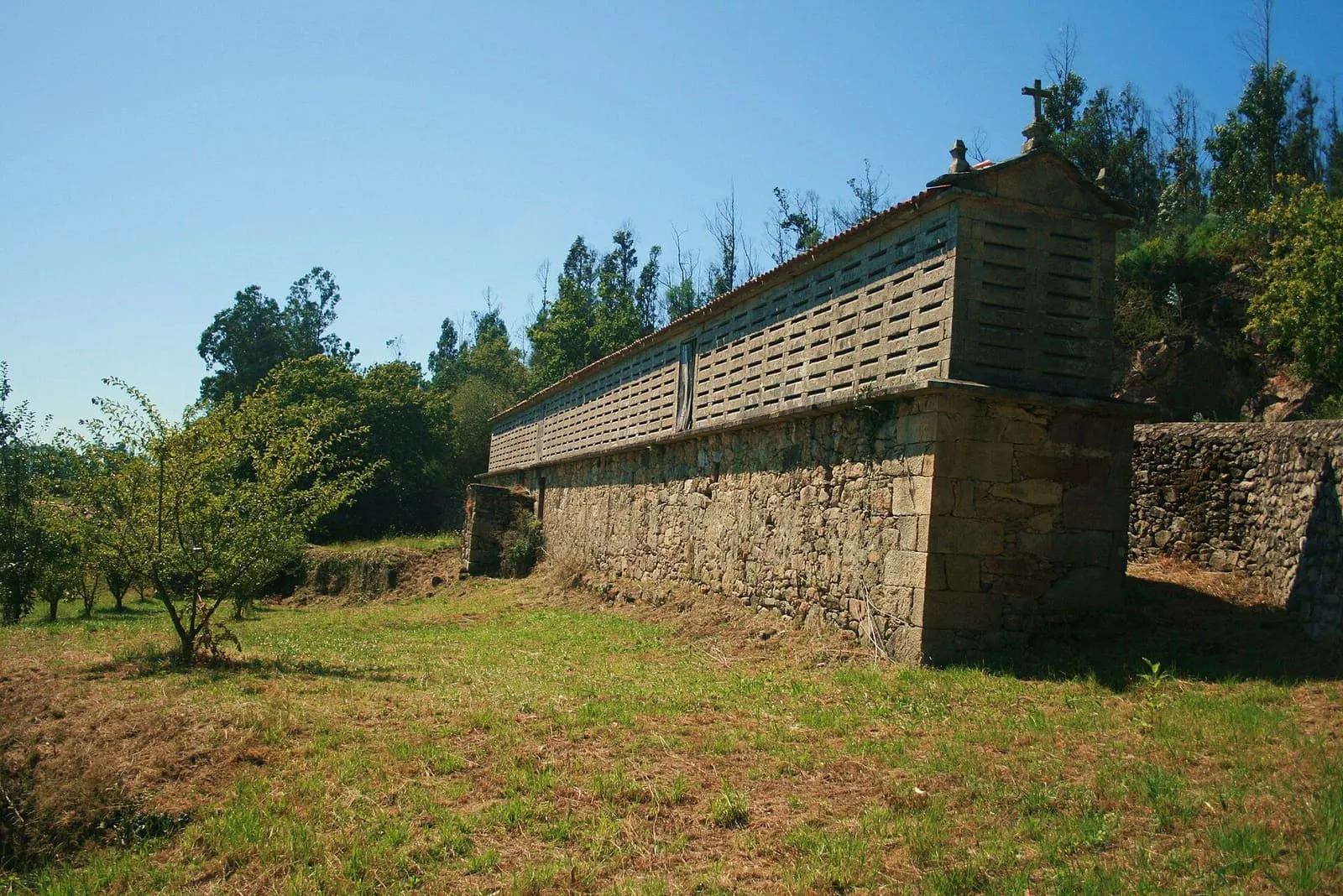 El hórreo do Araño, una larguísima construcción de piedra con cámara de listones, entre pradera y árboles