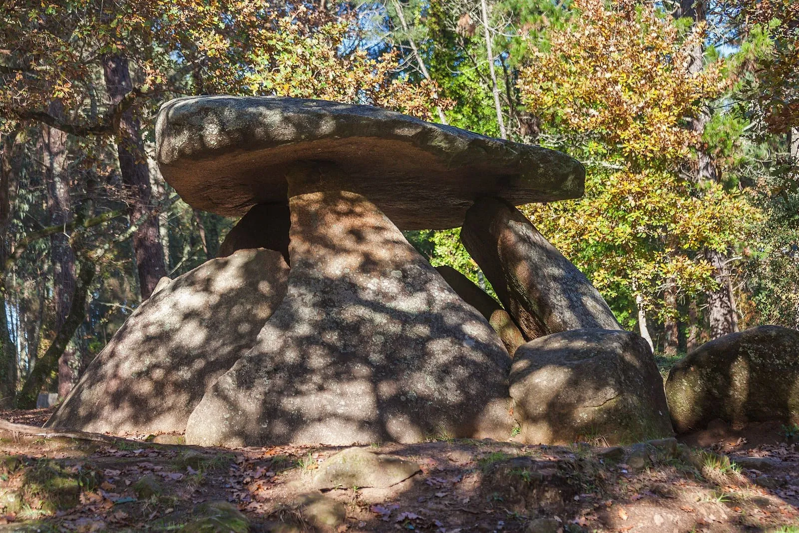 El dolmen de Axeitos, con su gran losa de cubierta sobre ortostatos, entre pinos y hojas secas