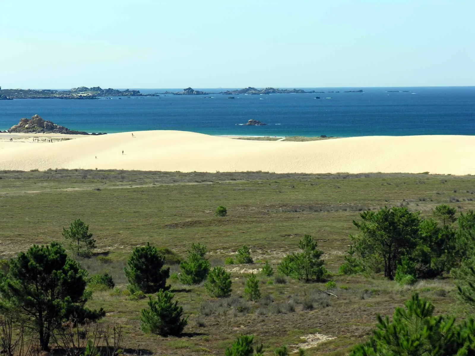 Gran duna de arena blanca y pinar en las Dunas de Corrubedo