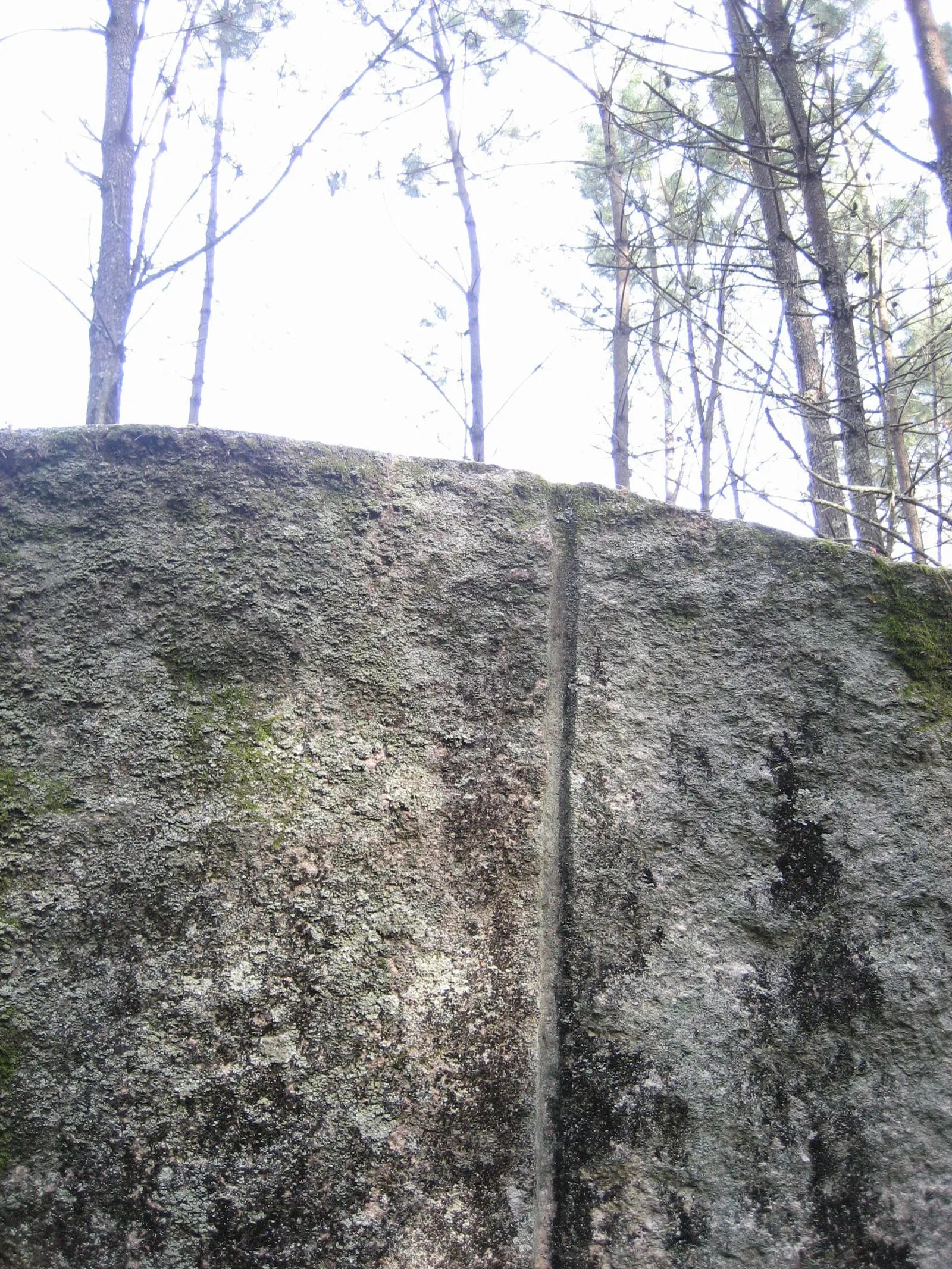 El gran peñasco de la Pedra das Cabras entre pinos, en el lugar de Figueirido