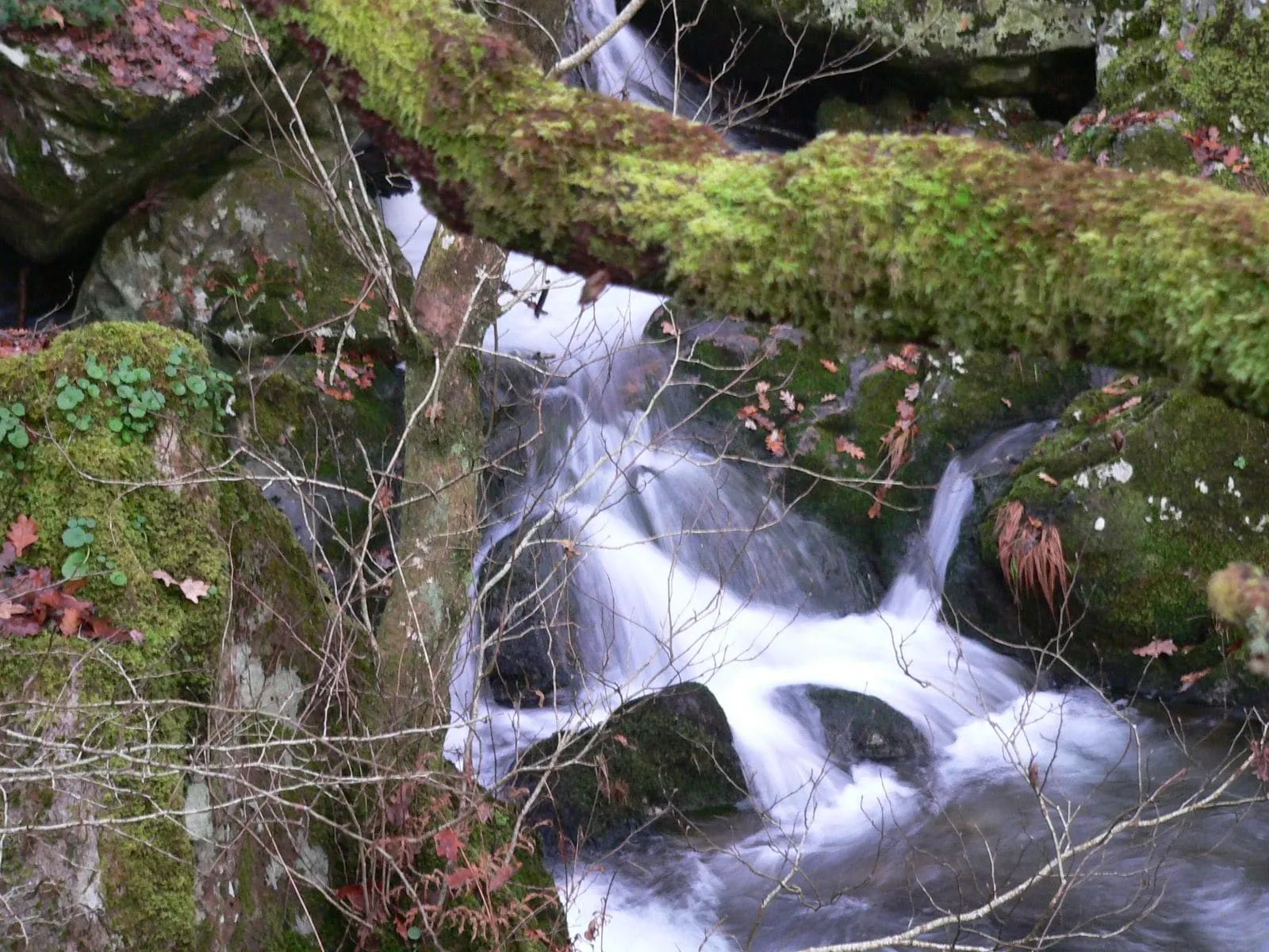 Pequeña cascada del río entre rocas y musgo, en las fervenzas de Parafita