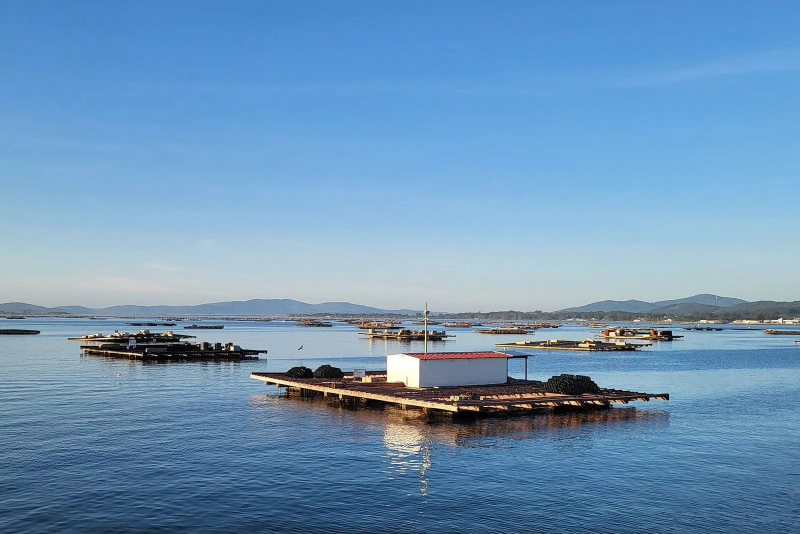 Bateas de mejillón en calma sobre la ría de Arousa, con las sierras al fondo