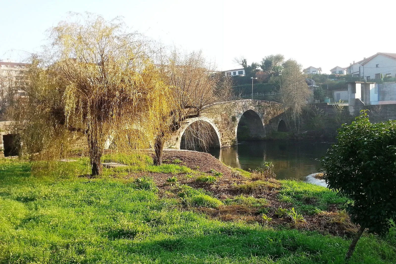 Puente de piedra de varios arcos sobre el río Tea, en Ponteareas, con sauces en la orilla