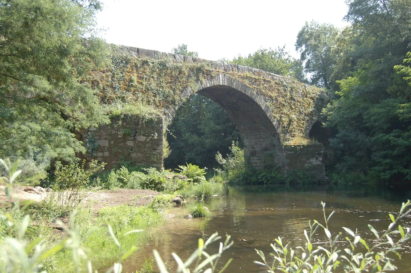 El arco apuntado del puente medieval de la Fillaboa sobre el río Tea, cubierto de vegetación