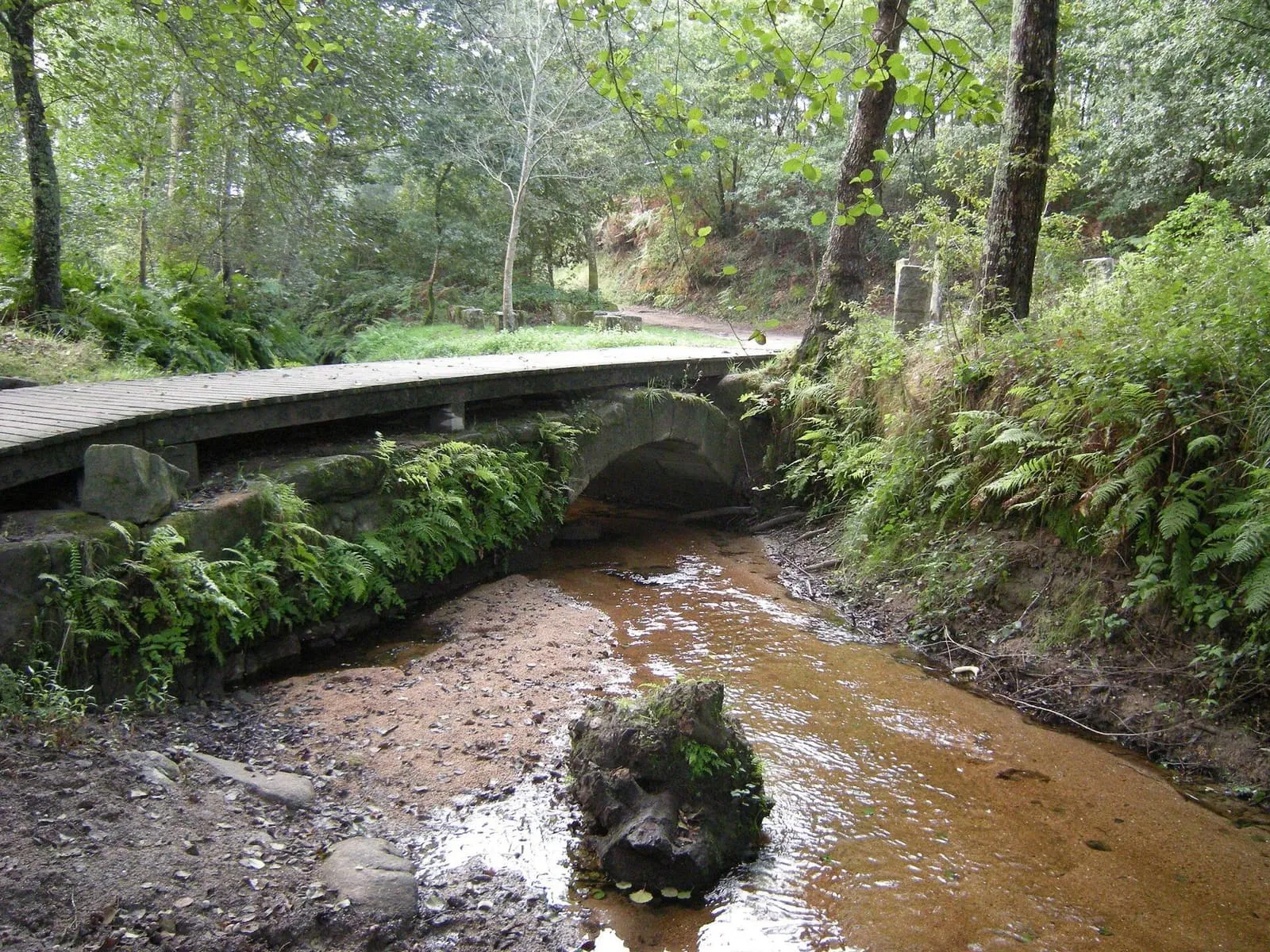 El pequeño puente de piedra de la ponte das Febres sobre un arroyo entre vegetación