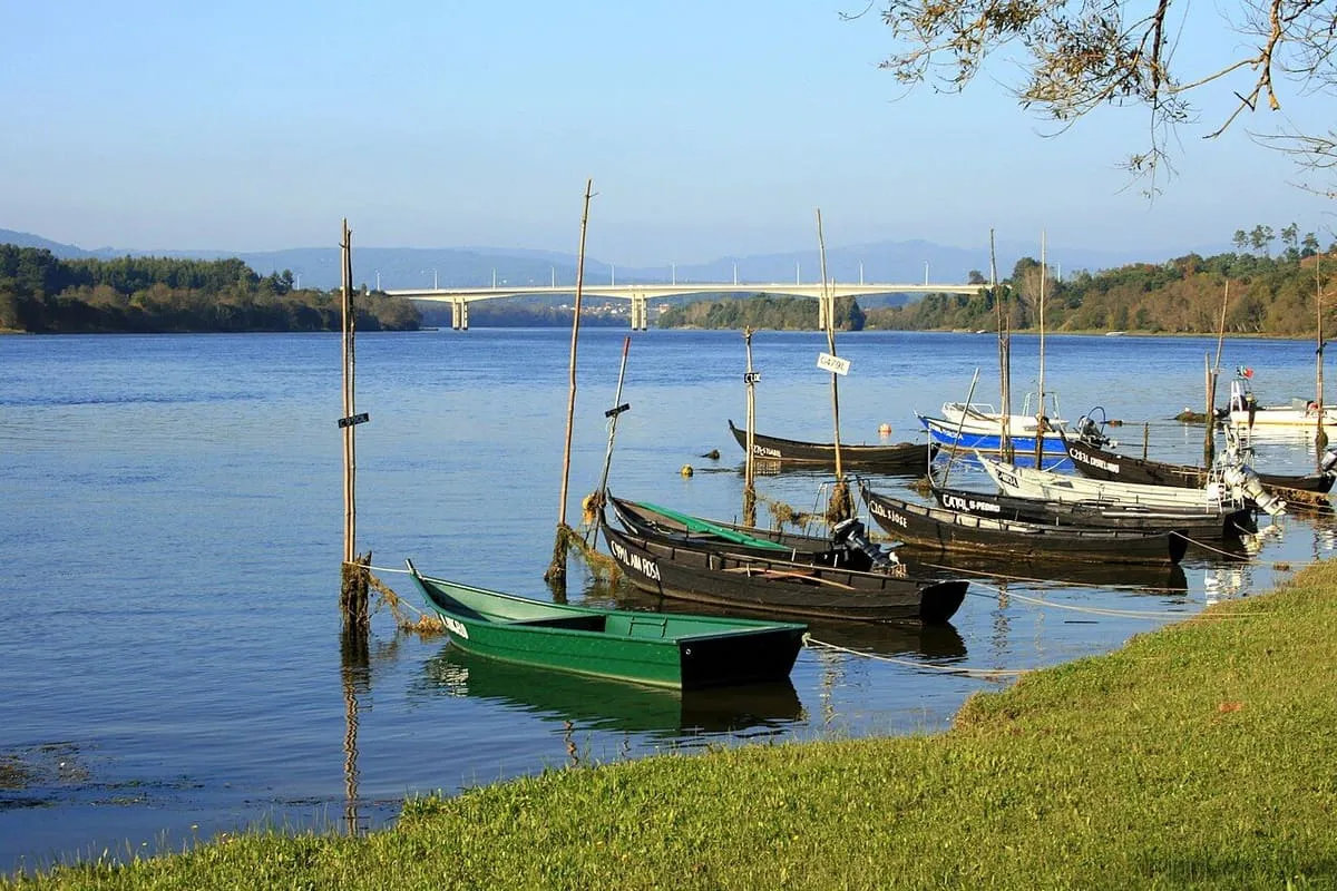 Barcas de madera amarradas en la orilla del Miño, con un puente al fondo