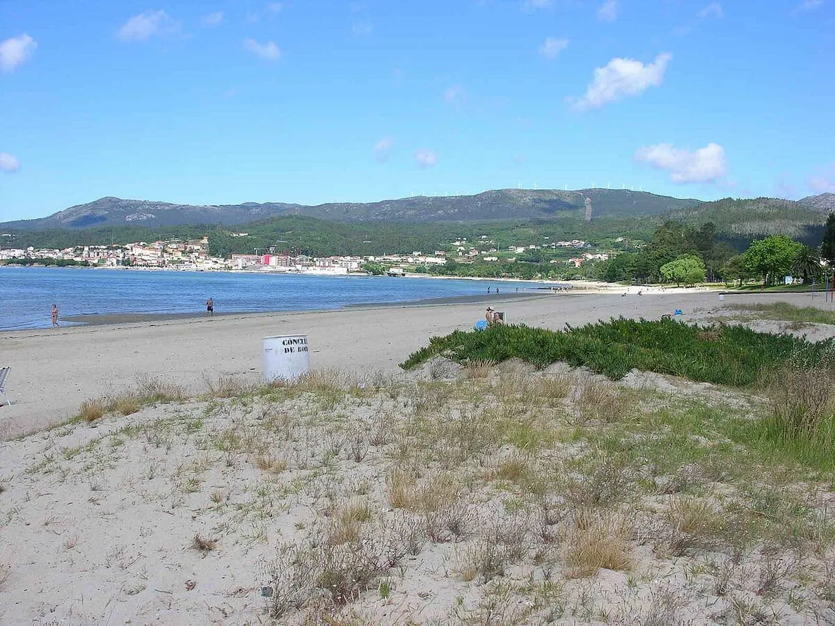 Arena y vegetación de duna en la playa de Barraña, con la costa al fondo