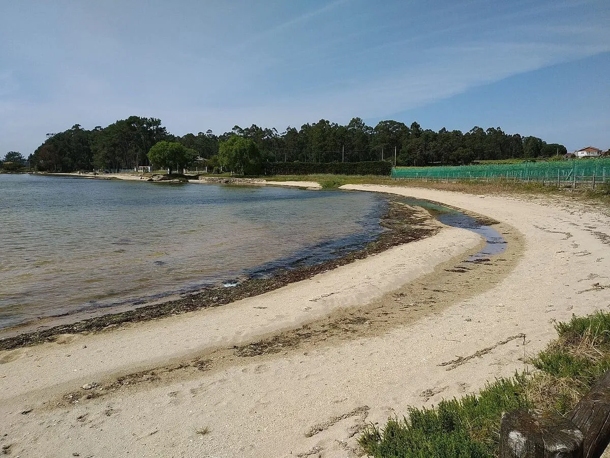 Playa de Saíñas, una lengua de arena fina junto a un pinar y aguas tranquilas de la ría
