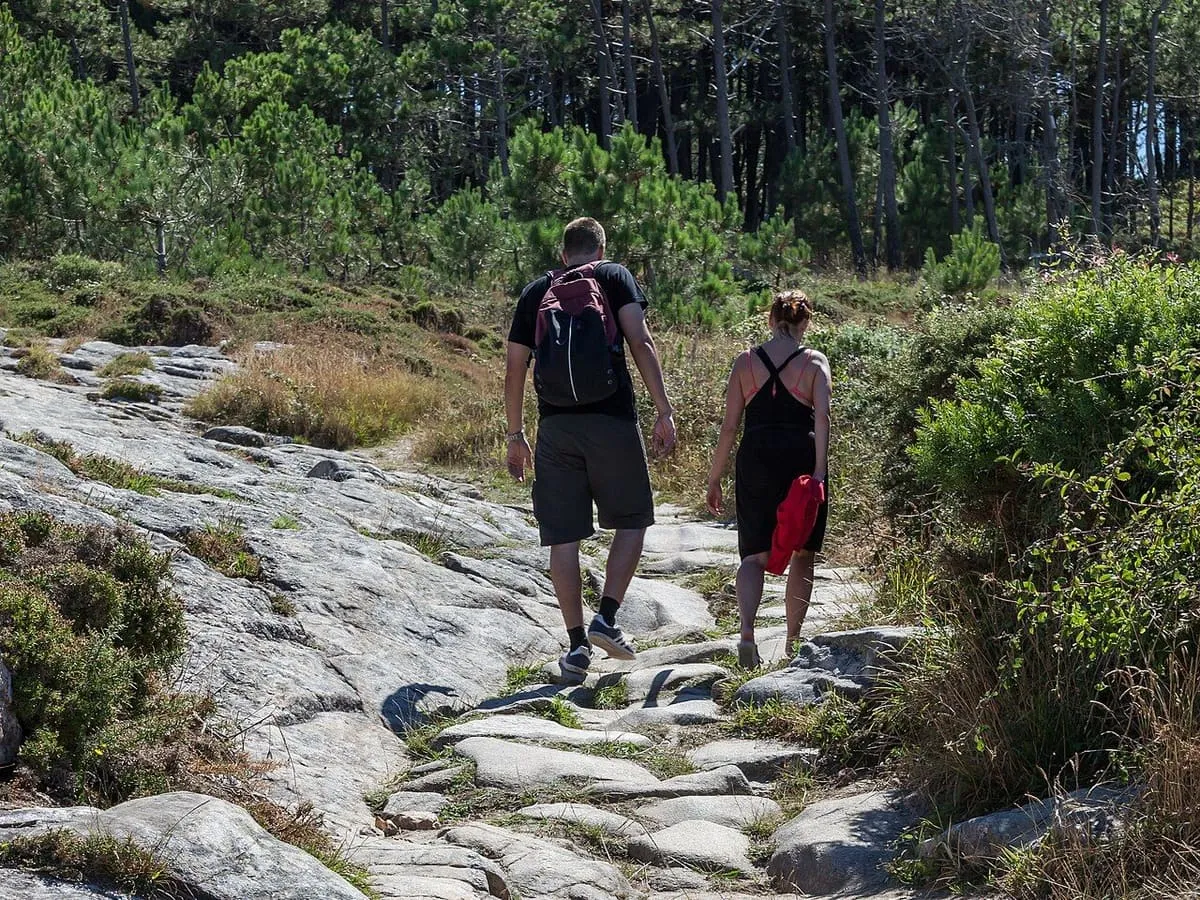 Dos personas caminan por una senda de piedra entre pinos y matorral, en el acceso al castro de Baroña