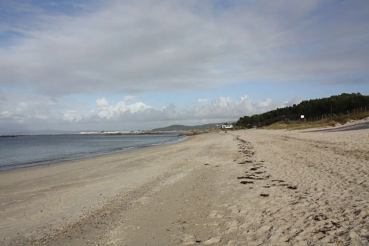 Playa de O Carreiro con marea baja y pinar al fondo