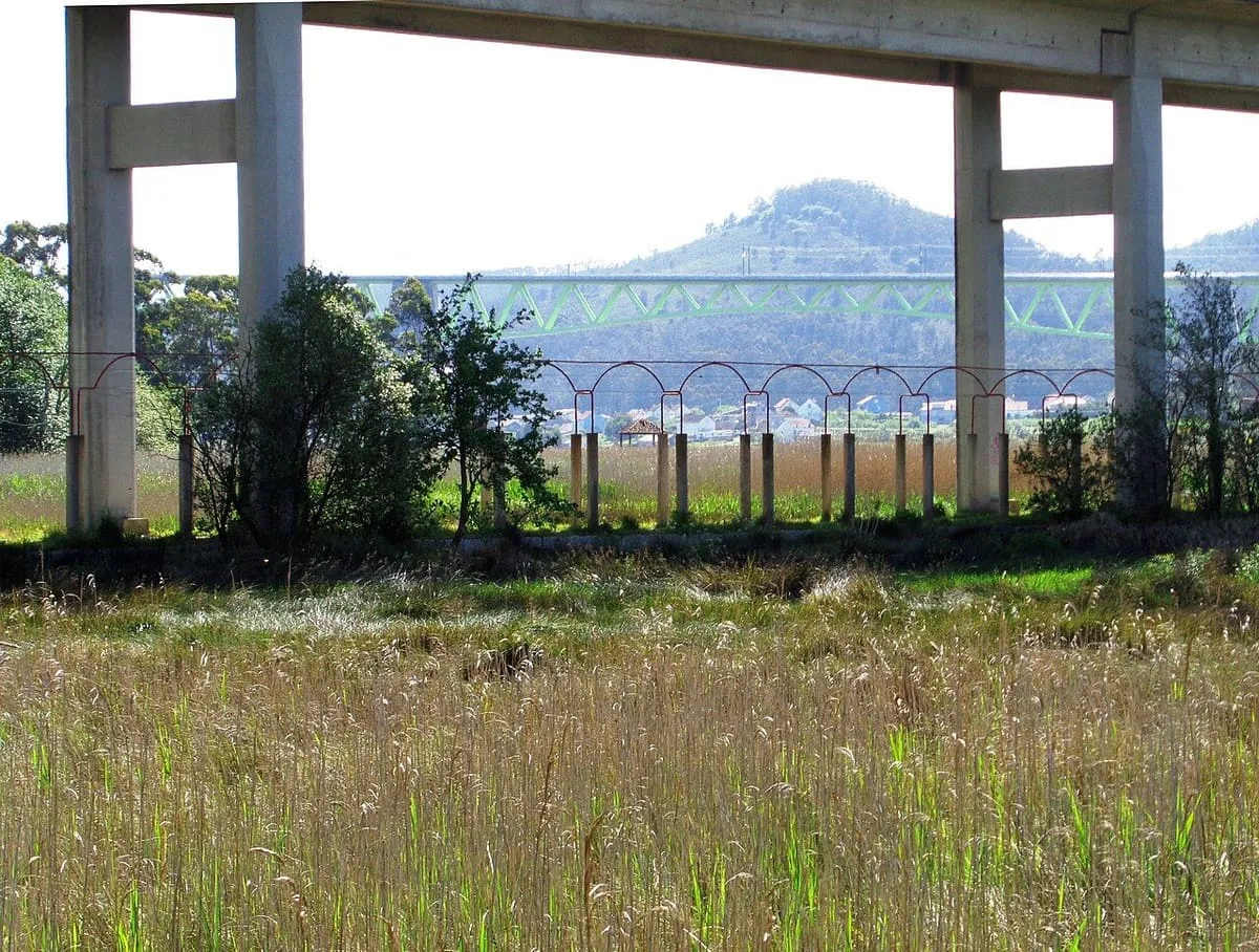 Pilares de hormigón del viaducto de la ponte de Catoira sobre las marismas del Ulla, con el monte al fondo