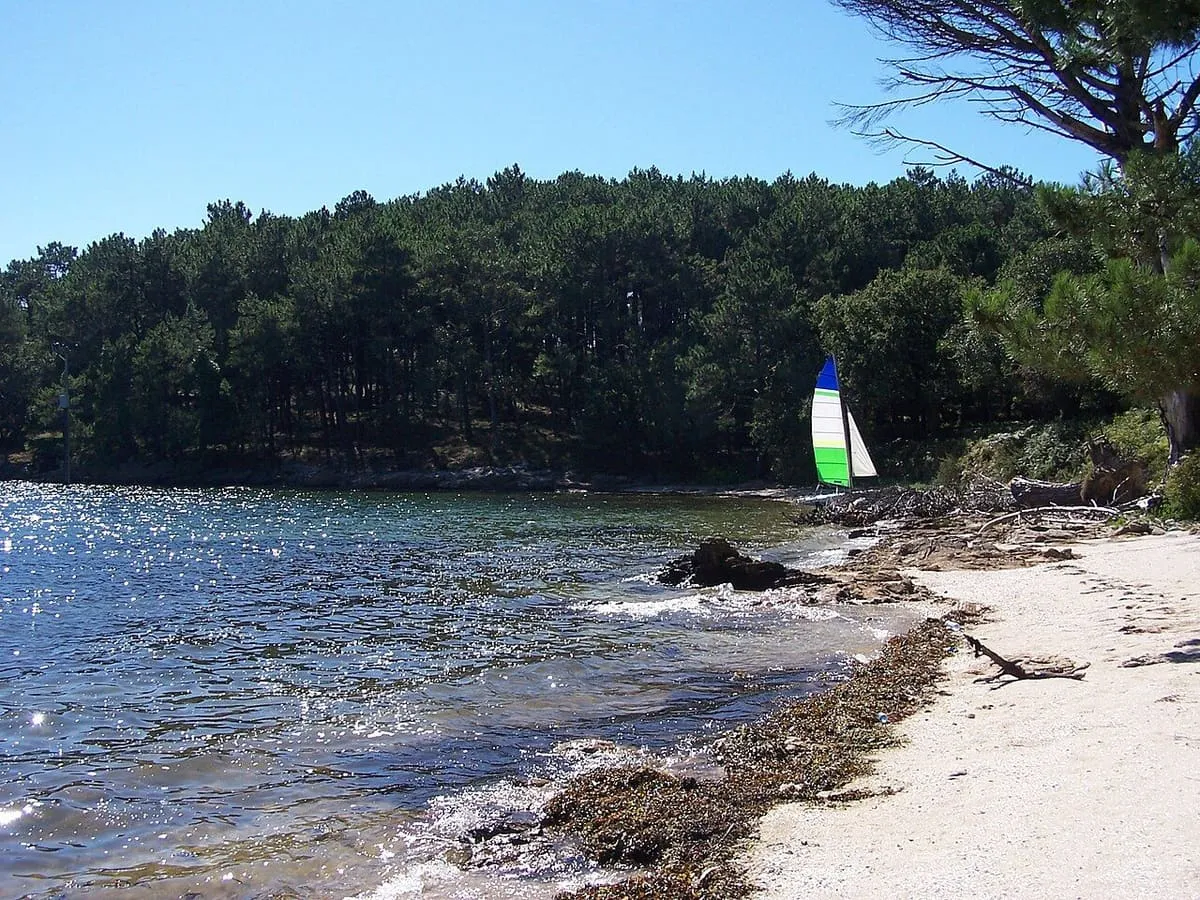 Orilla de arena y pinar de la isla de Cortegada con un velero
