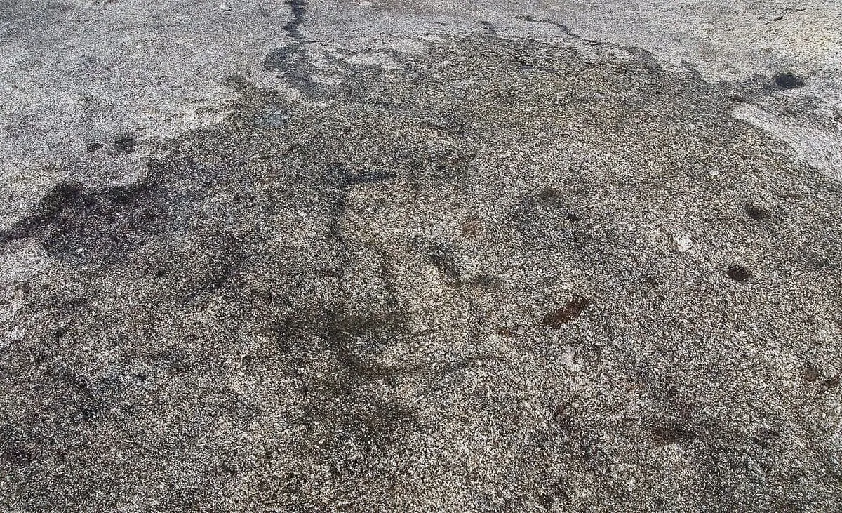 La figura grabada de la Laxe dos Gatos, en Cequeril