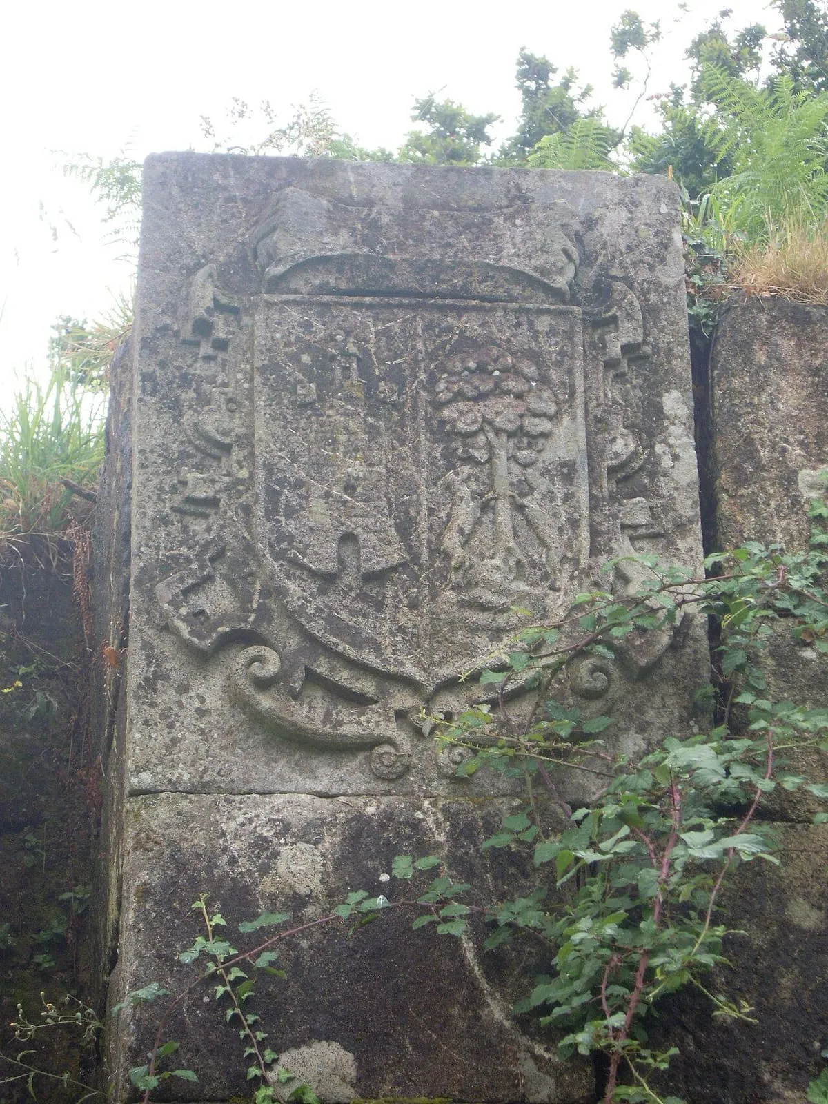 Escudo de piedra junto a la entrada del fuerte de Goián, con una torre y un árbol entre helechos y zarzas