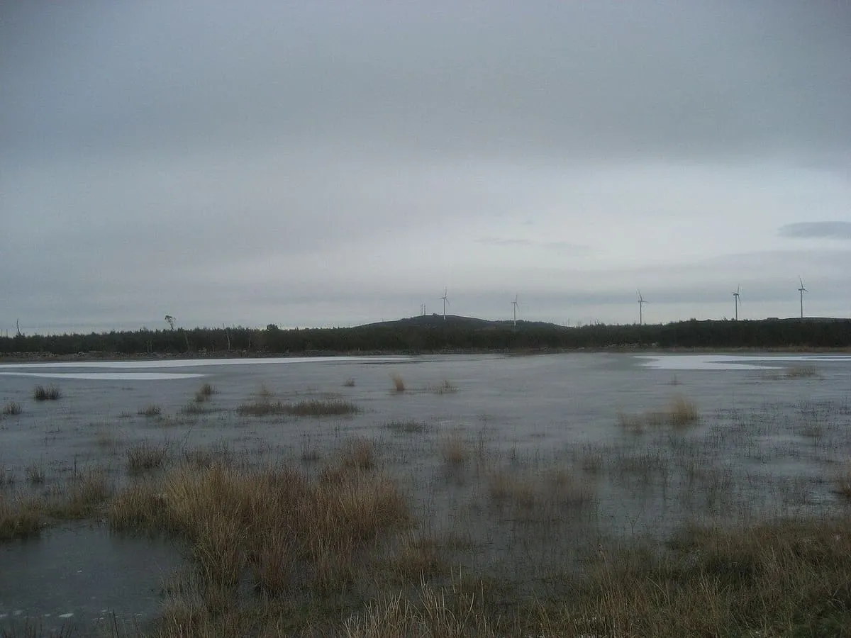 La laguna Sacra de Olives bajo un cielo gris, con el agua extendida sobre la braña