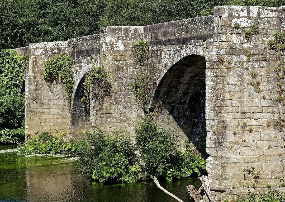 Un arco de la ponte de Pontevea cubierto de hiedra, visto desde la orilla del Ulla