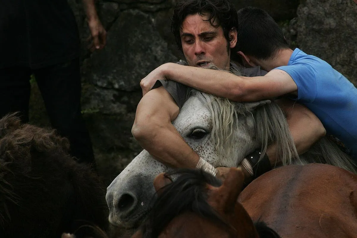 Un aloitador abraza a un caballo para sujetarlo con su propio cuerpo, sin cuerdas, durante la rapa