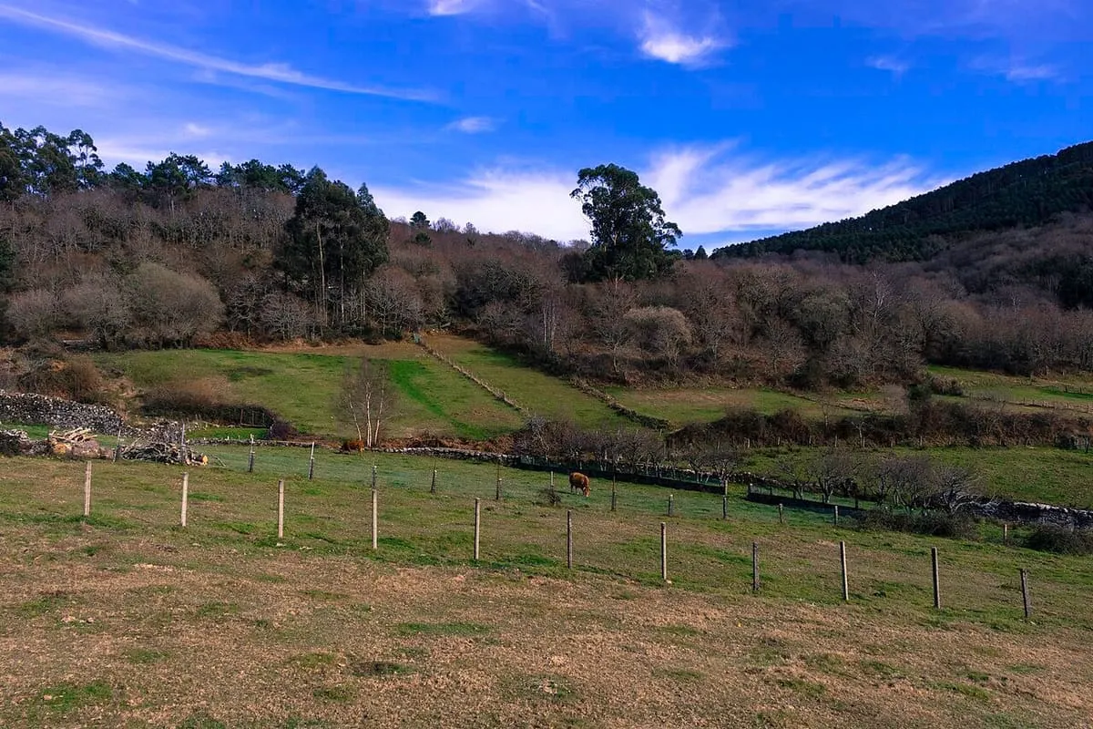Prado y arbolado en el entorno del santuario de A Franqueira bajo un cielo azul