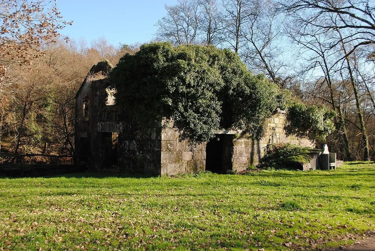 Ruinas cubiertas de vegetación de la vieja central hidroeléctrica de A Freixa