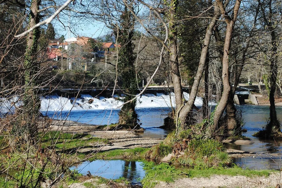 Pequeña presa del río Tea rodeada de árboles en A Freixa