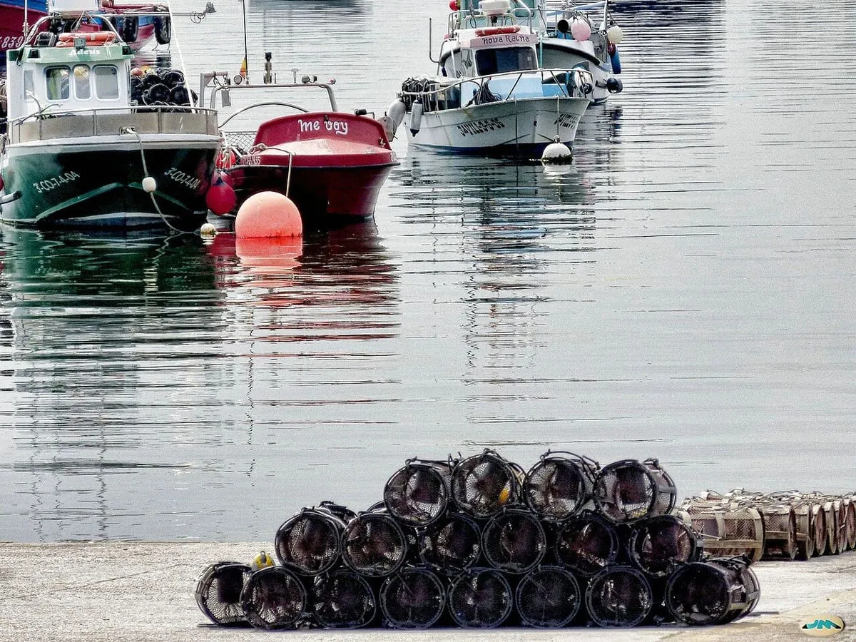 Nasas apiladas en el muelle junto a barcos de pesca en A Illa de Arousa
