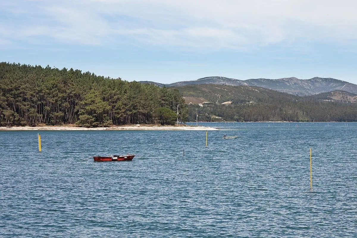 La isla de Cortegada, cubierta de bosque, vista desde Carril