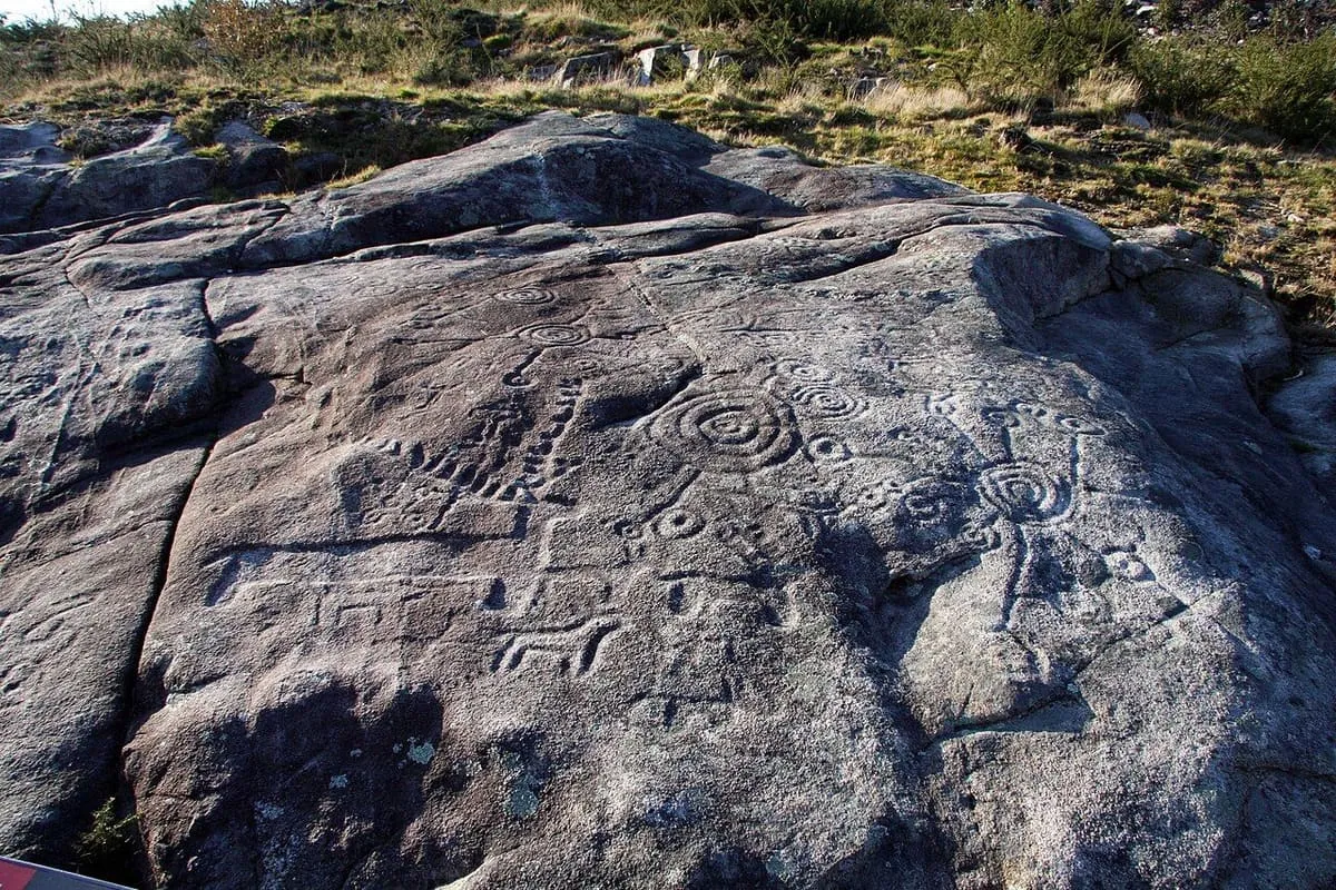 Grabados de círculos y otras figuras sobre una laxe de granito, con hierba y matorral alrededor