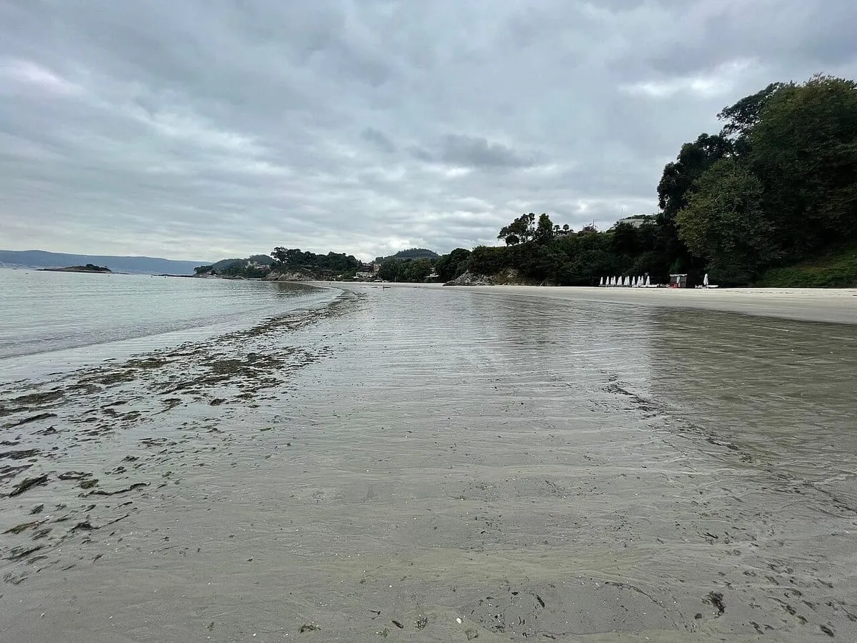 La playa de Lapamán con marea baja, el arenal mojado y un promontorio arbolado al fondo