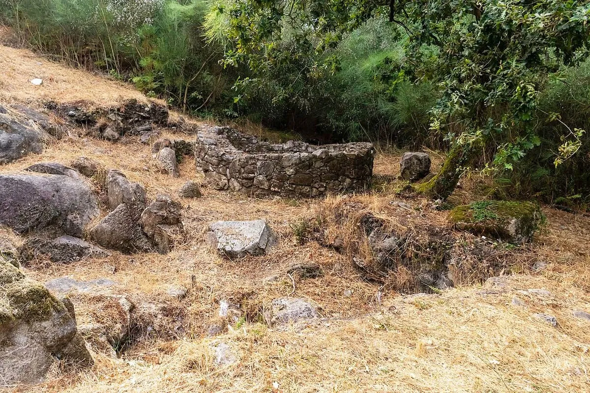 Muros de piedra de varias viviendas del castro da Subidá, entre roca y vegetación