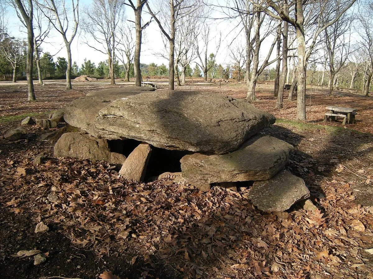 Las losas de la cámara del dolmen de Chan da Arquiña entre hojas secas