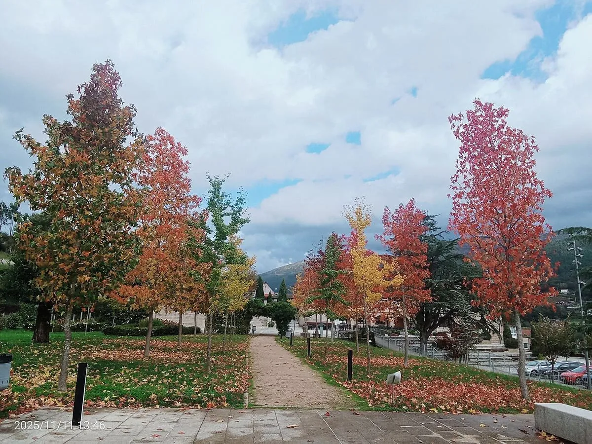 Paseo del jardín del pazo de Mos con árboles de hojas rojizas en otoño