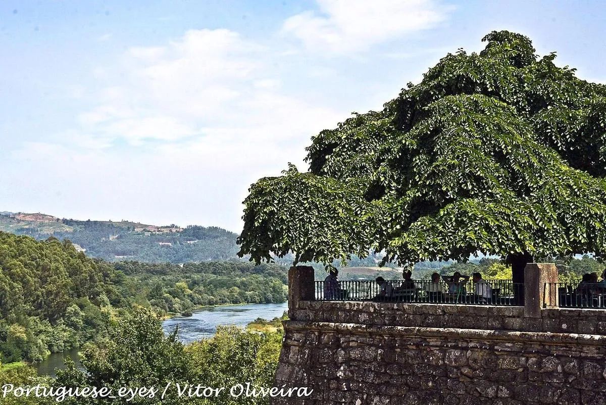 Mirador con un gran árbol sobre la muralla de Monção, con el valle del Miño al fondo