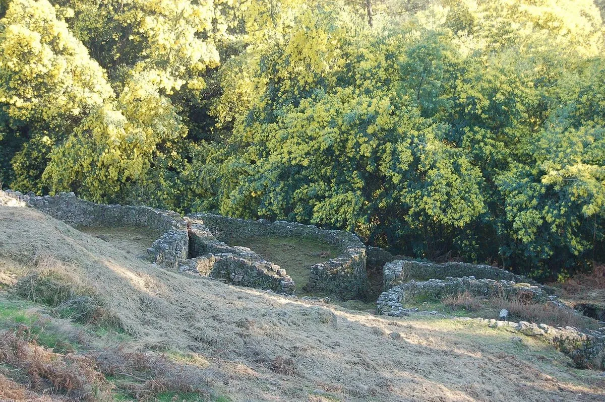Muros de piedra de las viviendas del castro entre la hierba y los árboles, con luz suave