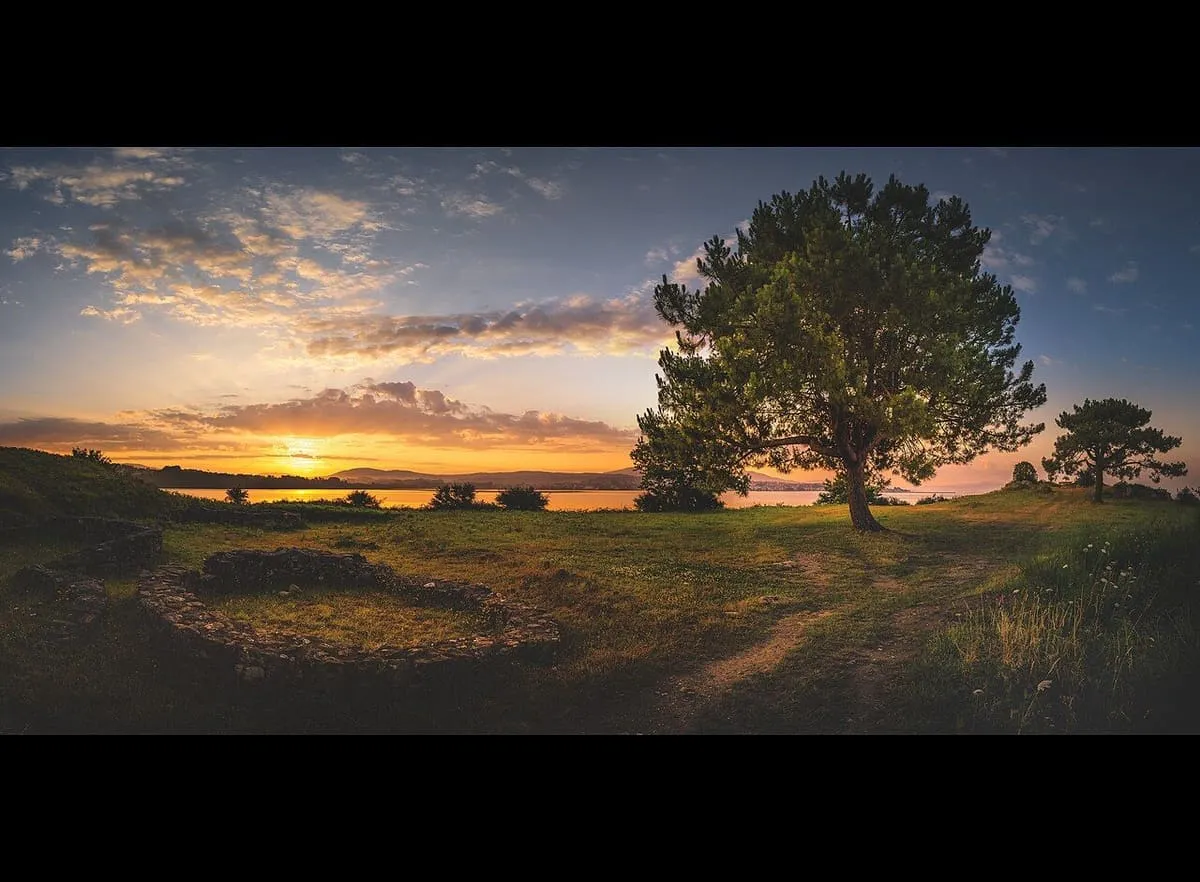 Un árbol y los restos del castro contra un cielo de atardecer sobre la ría de Arousa