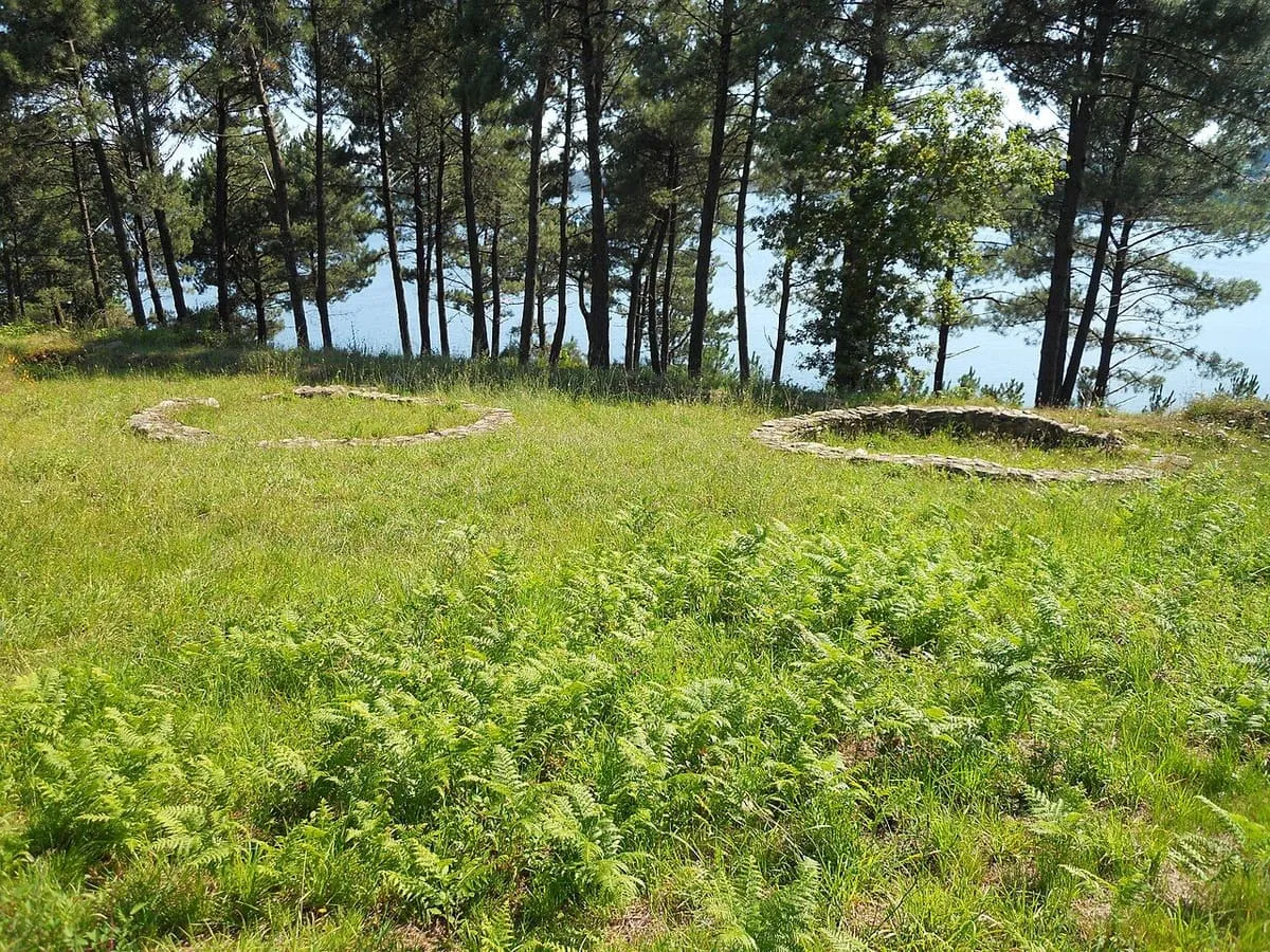 Pinar junto a la ría con el círculo de una vivienda castreña sobre la hierba