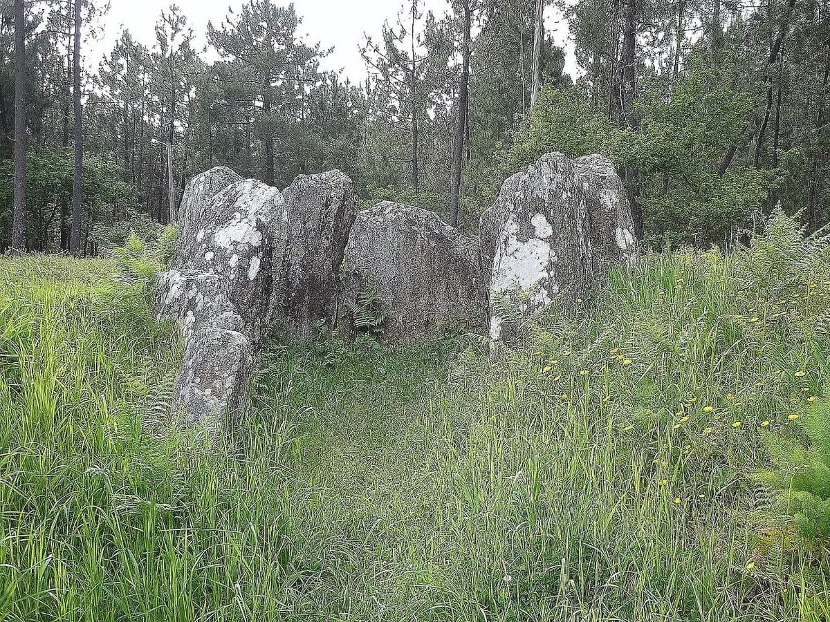 Las grandes losas verticales de la cámara del dolmen de Argalo entre hierba alta