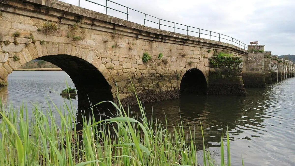 Un arco de la ponte Nafonso visto de cerca, con juncos en primer plano