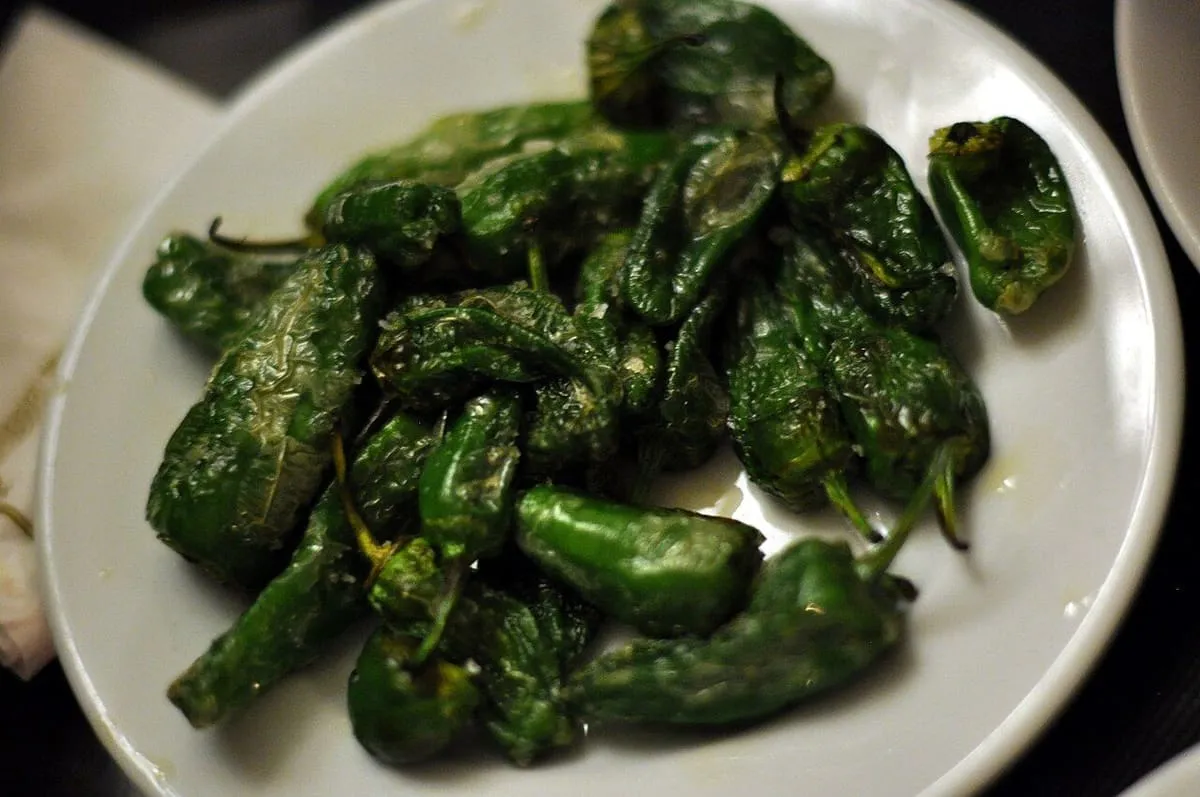 Pimientos de Padrón recién fritos sobre un plato blanco, brillantes y con sal
