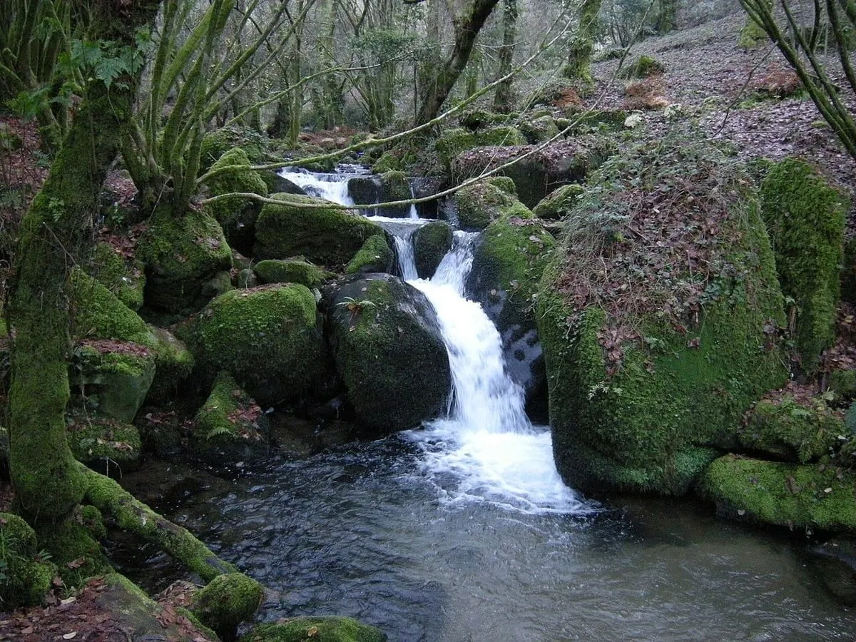 Pequeña cascada entre rocas cubiertas de musgo y bosque, en la Ruta da Pedra e da Auga