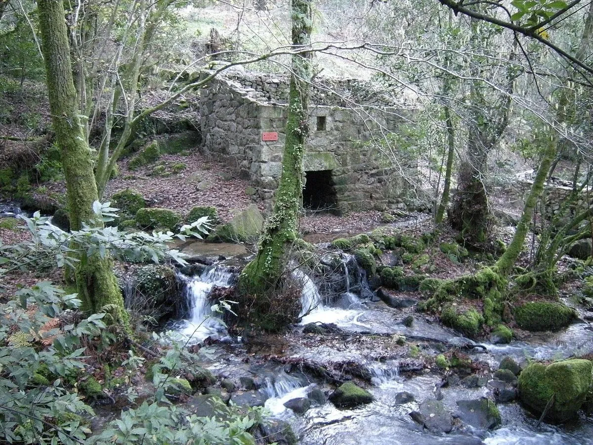 Un molino de piedra entre árboles junto a un arroyo con saltos de agua