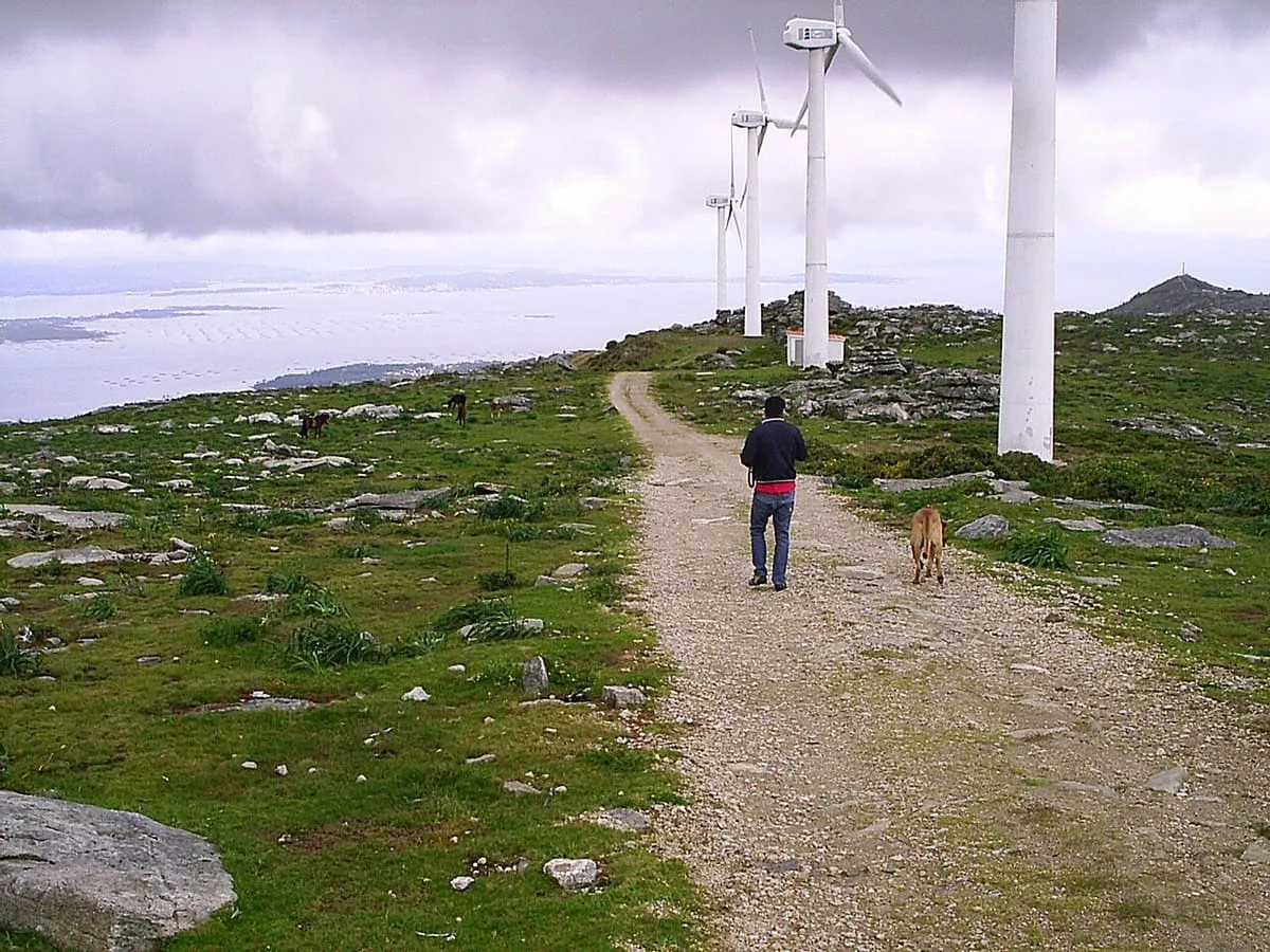 Camino de monte en A Curota entre pastos, con aerogeneradores al fondo
