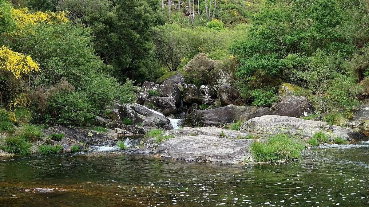 El río Pedras bajando entre bloques de granito y helechos en un tramo de saltos